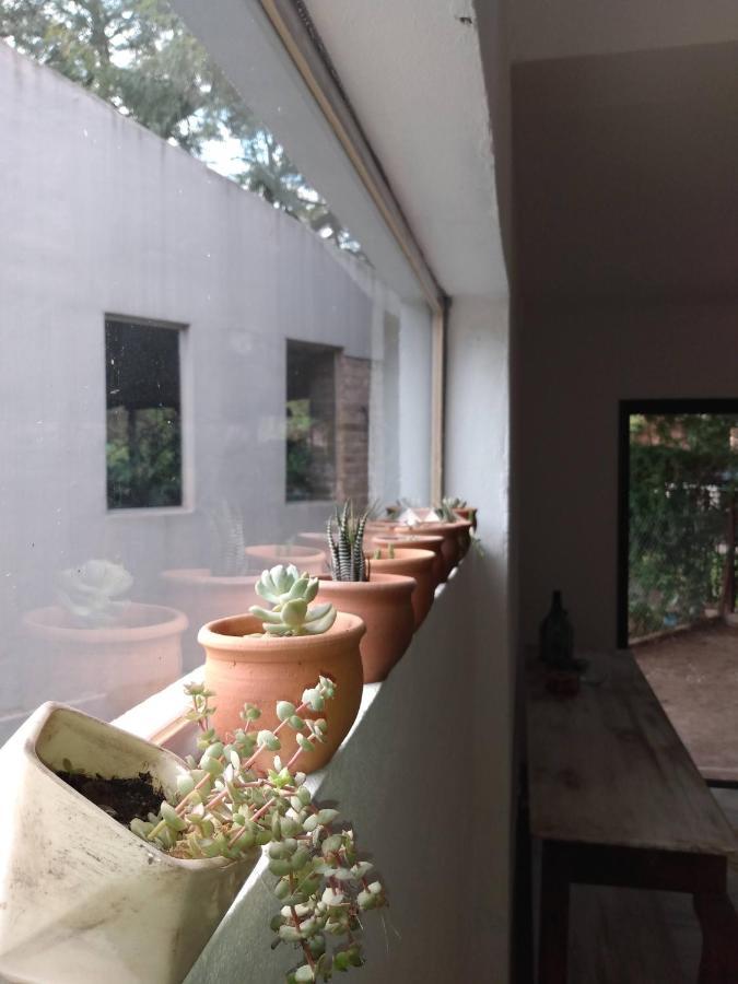 La Casita Del Hornero *